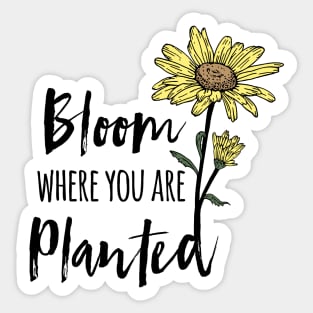 Bloom Where You Are Planted Sunflower Sticker